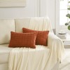 Fancy Homi 2 Packs Burnt Orange Lumbar Decorative Throw Pillow