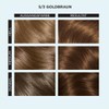 Clairol Professional Color Studio Permanent Hair Colour Golden Brown 5/3