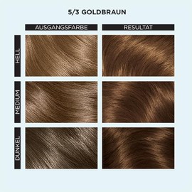 Clairol Professional Color Studio Permanent Hair Colour Golden Brown 5/3 (110ml) - With Metal Purifier for 6x Less Breakage, 10 Weeks Rich Colour Result & 100% Grey Coverage - Includes Hair Treatment