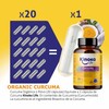 Kurmeric 10,000 mg Pure Curcumin | 120 Capsules | 95%