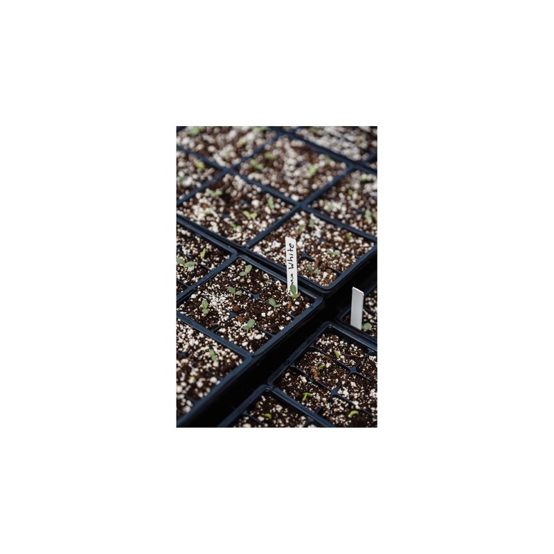 Boxam Perlite for Plants 0-6 mm (4L)
