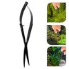 AIMALL quarium Grass Tank Trimming Shears - Black Stainless Steel