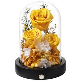 Rosas conservadas con LED en cúpula de vidrio para siempre, regalos para esposa, madre, novia, abuela, día de San Valentín, cumpleaños, día de la madre, aniversario, rosa eterna y real