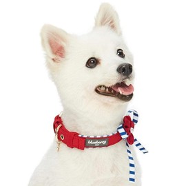 Blueberry Pet 4 Patterns Bon Voyage Sea Lover Adjustable Dog Collar in Timeless Red, Neck 9-12.5", for Small Breed
