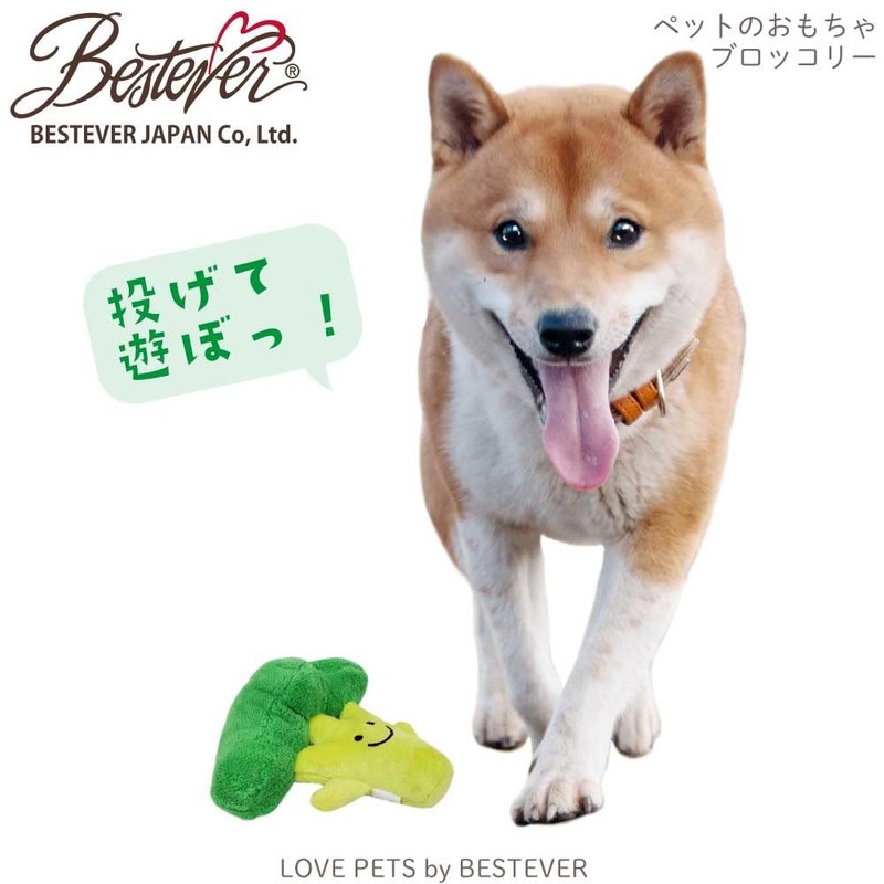 Best Ever Dog Toy, Broccoli, Approx. 5.9 x 5.1 x