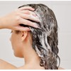 J.R. Watkins Daily Hydration Shampoo, Aloe & Green Tea -