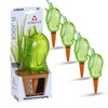 '"Bördy Water Dispenser Colour: Green, Size 20, Volume 220 ml