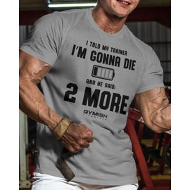 Gymish Lifestyle 2 More Workout Shirts for Men, Motivational T-Shirt for Gym (XXL, 2 More Grey)