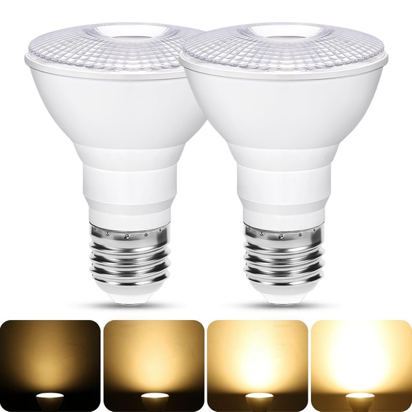 Flaspar PAR20 LED Bulbs 75W Equivalent, 3000K Warm White, 8W