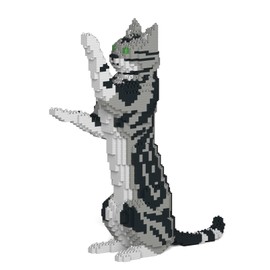 JEKCA American Shorthair Cat 05S-M01