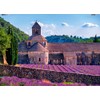 King 5663 Senanque Monastry Provence France Jigsaw Puzzle 1000-Piece, 68