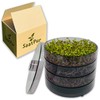 SaatPur® Germination Box Set of 3 with Three Levels as
