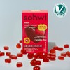 Sowhi sohwi Steady Booster ACV Gummy 3g*30ea - sohwi Steady Booster ACV Gummy 3g*30ea