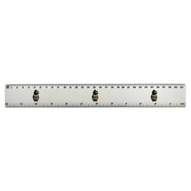 'Detective Mole' 30cm (12 Inch) White Plastic Ruler (RL00087546)