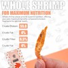 Freeze-Dried Shrimp Water Turtle Food – Nutritious Dried Shrimp for