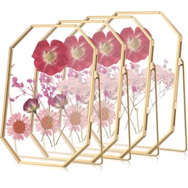 Yalikop 4 Pcs 5 x 7 Inches Glass Pressed Flower Frame Floating Picture Photo Octagon Frame, Double Tabletop Artwork Flower Plant Hanging Display for Home Office Wedding Gifts DIY Decor (Gold)