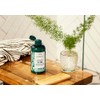 THE BODY SHOP Tea Tree Conditioner For Oily Hair &