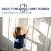 Personal Security Window and Door Alarm for Kids, Door Alarm
