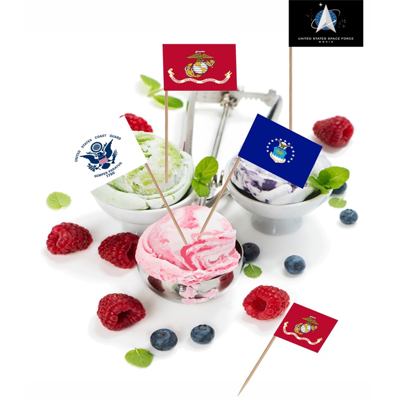 LUSEOAN US Military Toothpick Flag Set Army Armed Forces All