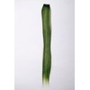 WIG ME UP - YZF-P1S18-1/TF2106 Clip-In Hair Extensions Straight Green