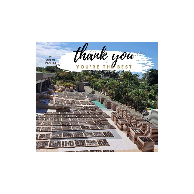 10 Madagascar Vanilla Beans - Grade A Making Pure Vanilla