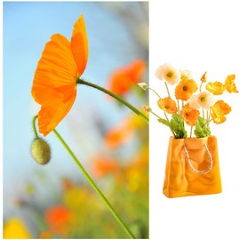 10000+ California Poppy Flower Seeds for Planting (Eschscholzia californica), Orange Corn Poppy Seeds Perennial Wildflower
