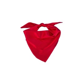 EechicSpace 1 Pack Red Dog Bandana Plain Dog Scarf for Medium Large Dogs