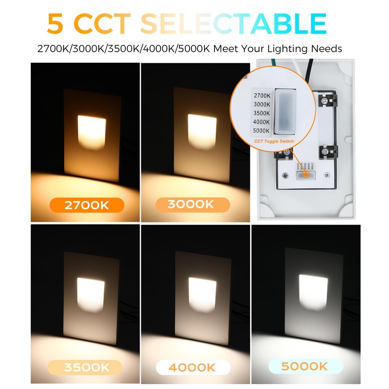 CLOUDY BAY 120V Dimmbale 5 Color LED Indoor Outdoor Step