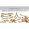 Wheat Bran Bedding & Gutload for Mealworms, Superworms, and Feeder