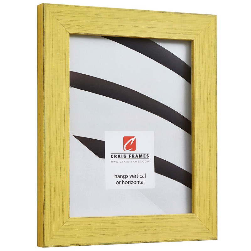 Craig Frames Jasper Picture Frame, 17 x 22 Inch, Country