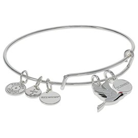 Alex and Ani Blessed Crane Charm Bangle Bracelet, Shiny Silver Finish, 2 to 3.5in