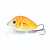 Mister Tackle BX-2 Fishing Lure Mini Wobbler Set Crankbaits for
