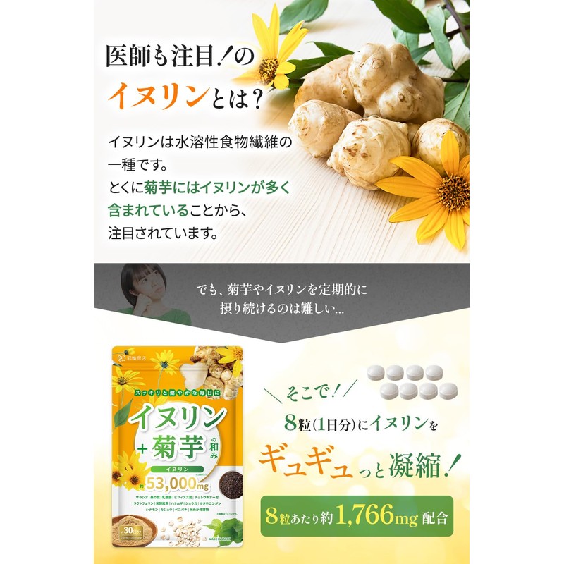 【医師・管理栄養士W監修】 イヌリン 菊芋 サプリ 53000mg/袋 水溶性 食物繊維 乳酸菌 キクイモ きくいも