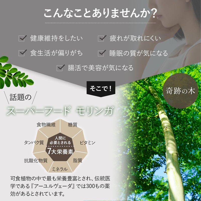 ニシジマ農園 モリンガ × 菊芋 サプリメント 熊本県産 有機JAS認証 60g 240粒 30日分【