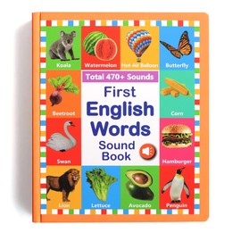First English Words Sound Book,Total 470+ Sounds, 21 Themes, My First English Sound Toy, Interactive Sound Books Kids Learning Toys, Early Educational Gifts Birthday Gift for Toddlers Kids Age 3 4 5 6