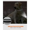 Aeclleca Reflective Dog Collar and Leash Set with Safety Locking