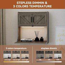 ARTETHYS Wall Mounted Desk with LED Light Farmhouse Multifunctional Fold Down Laptop Computer Table Writing Workstation with Storage Compartments Space Saving for Home Office, Gray