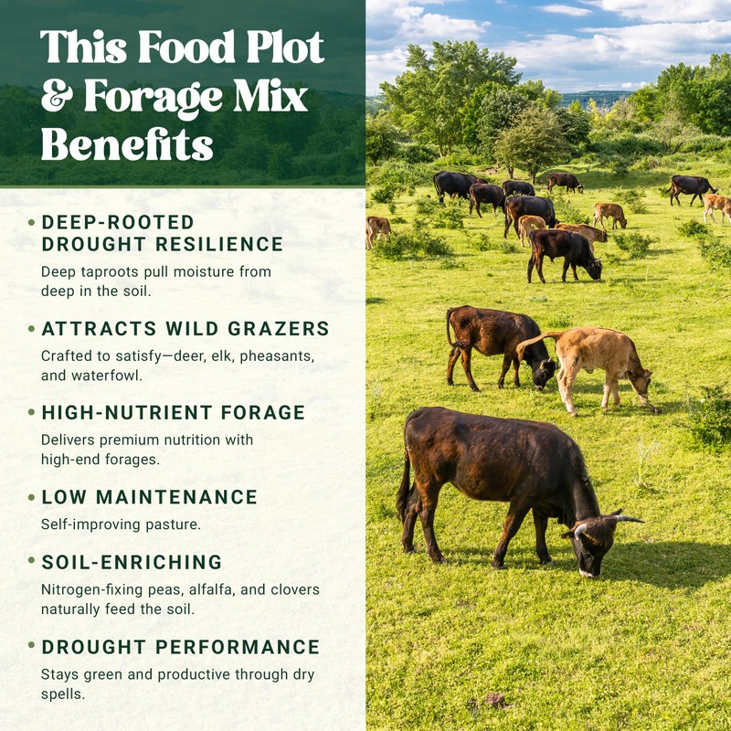 Nature's Seed Big Game Forage Mix, Pasture Grass Seed Blend,