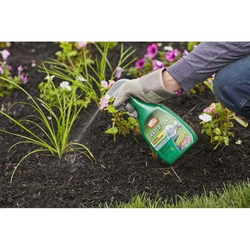 Ortho Grass B Gon Garden Grass Killer, 24-Ounce (3 Pack),