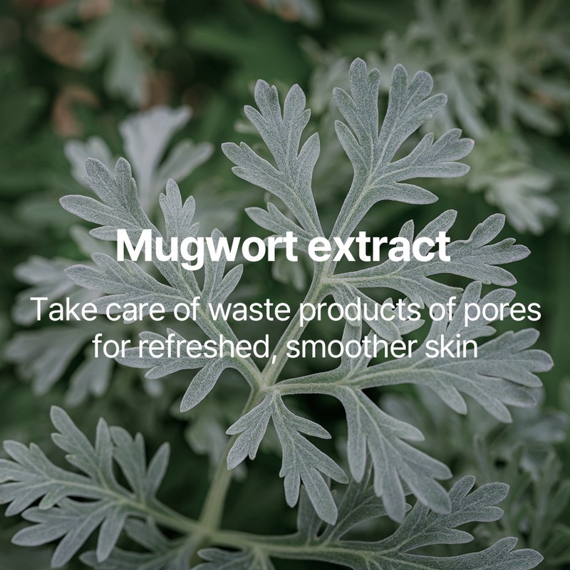 Pyunkang Yul [Pyunkang Yul]Calming Pore Clear Wash Off Pack