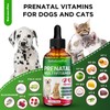 SalutemPet Prenatal Vitamins for Dogs & Cats with Glucosamine |