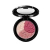 Rose Face Color + Pocket Brush (+ Lipstick Tray) 05