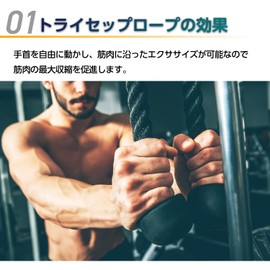 Bodytech BTS22CM019 Tricep Rope, 27.6 inches (70 cm) Tricept Rope, Barbell Rope, Training, Fitness Cable, Muscle Training, Triceps, Smith Machine, Battle Rope, Muscle Training Cable, Gym Rope, Training Rope