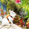 Bunny Harness and Leash for Rabbits,2 Pack Adjustable Bunny Harness,Cute