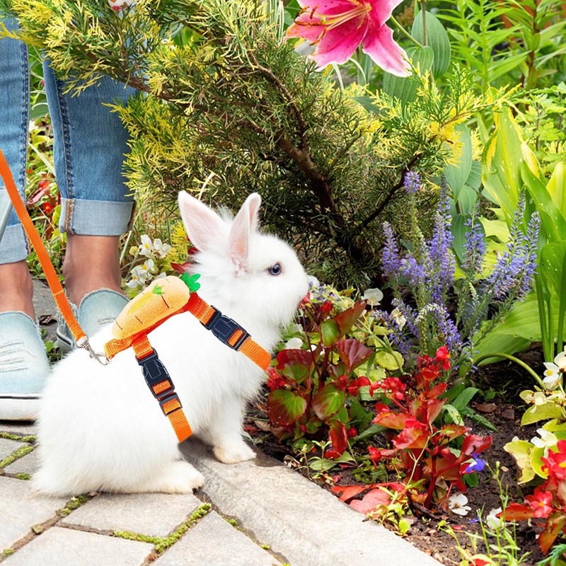 Bunny Harness and Leash for Rabbits,2 Pack Adjustable Bunny Harness,Cute