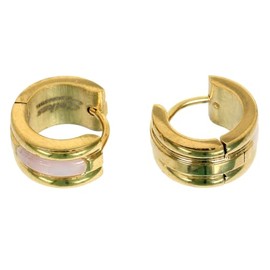 1 Pair of Earrings Shell Inlay Surgical Steel Hoop Earrings in Gold for Normal Pierced Ears, Alloy Steel