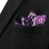 SHLAX&WING Mens Pocket Square Purple Paisley Handkerchieves Silk Hanky