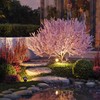 ledscom.de MIBU LED Garden Spotlight with Ground Spike for Outdoor