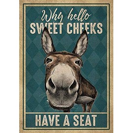 Donkey Why Hello Sweet Cheeks Have A Seat Funny Poster Garage Wall Decor Metal Sign Poster 8x12 inch
