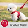Sunraymascota Dog Harness for Puppy – Adjustable Reflective Easy Put
